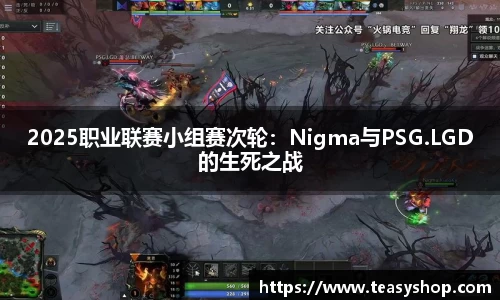 2025职业联赛小组赛次轮：Nigma与PSG.LGD的生死之战